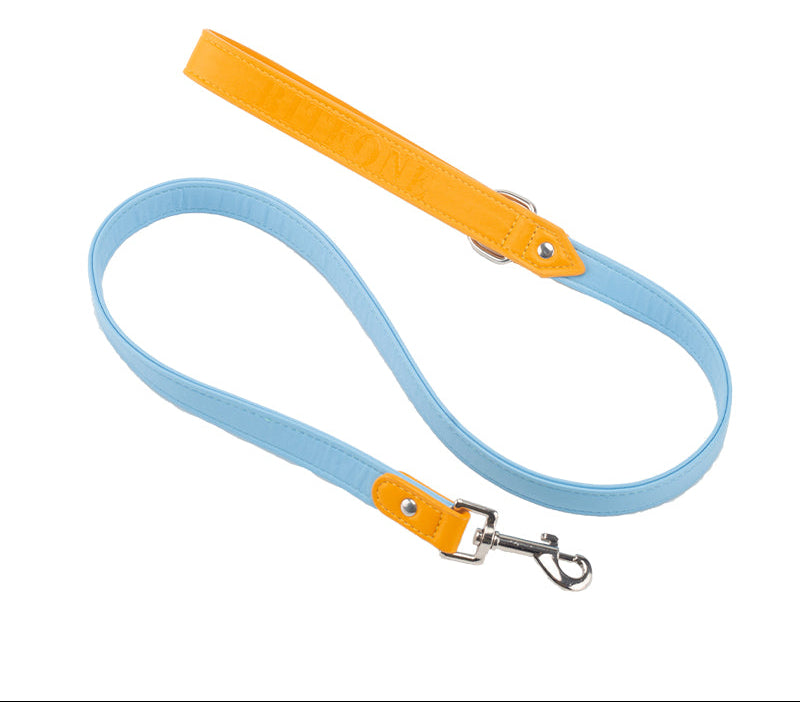 Dog Leashes