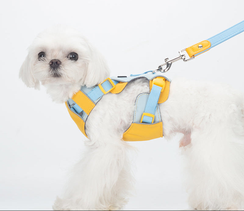 Breathable No-Pull Adjustable Dog Harness with Durable Buckles and Safety Straps MEDIUM