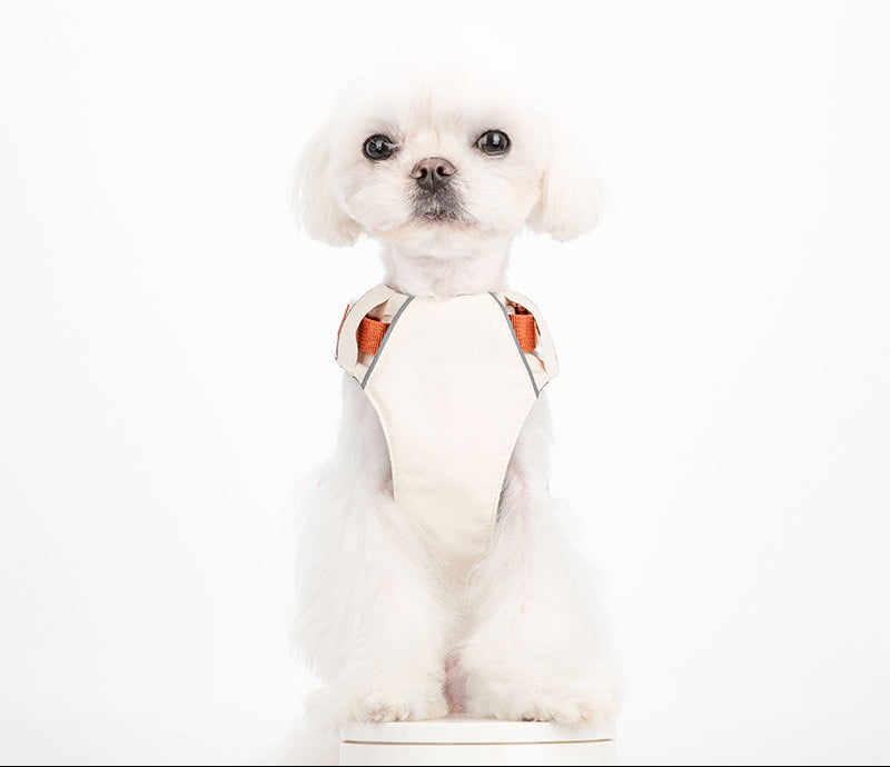 Breathable No-Pull Adjustable Dog Harness with Durable Buckles and Safety Straps LARGE