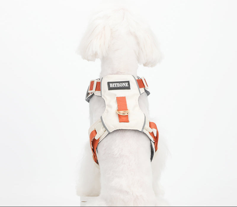 Breathable No-Pull Adjustable Dog Harness with Durable Buckles and Safety Straps LARGE