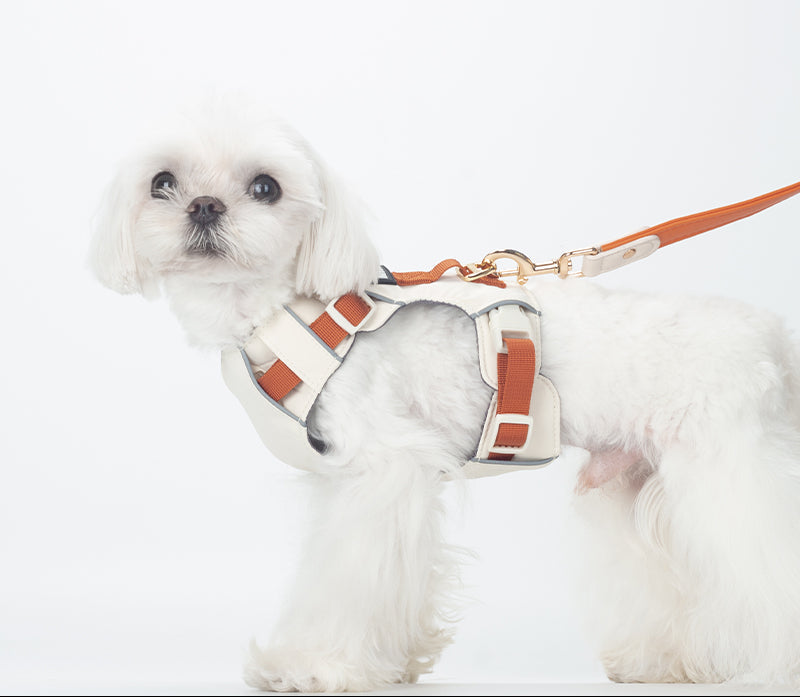Breathable No-Pull Adjustable Dog Harness with Durable Buckles and Safety Straps LARGE