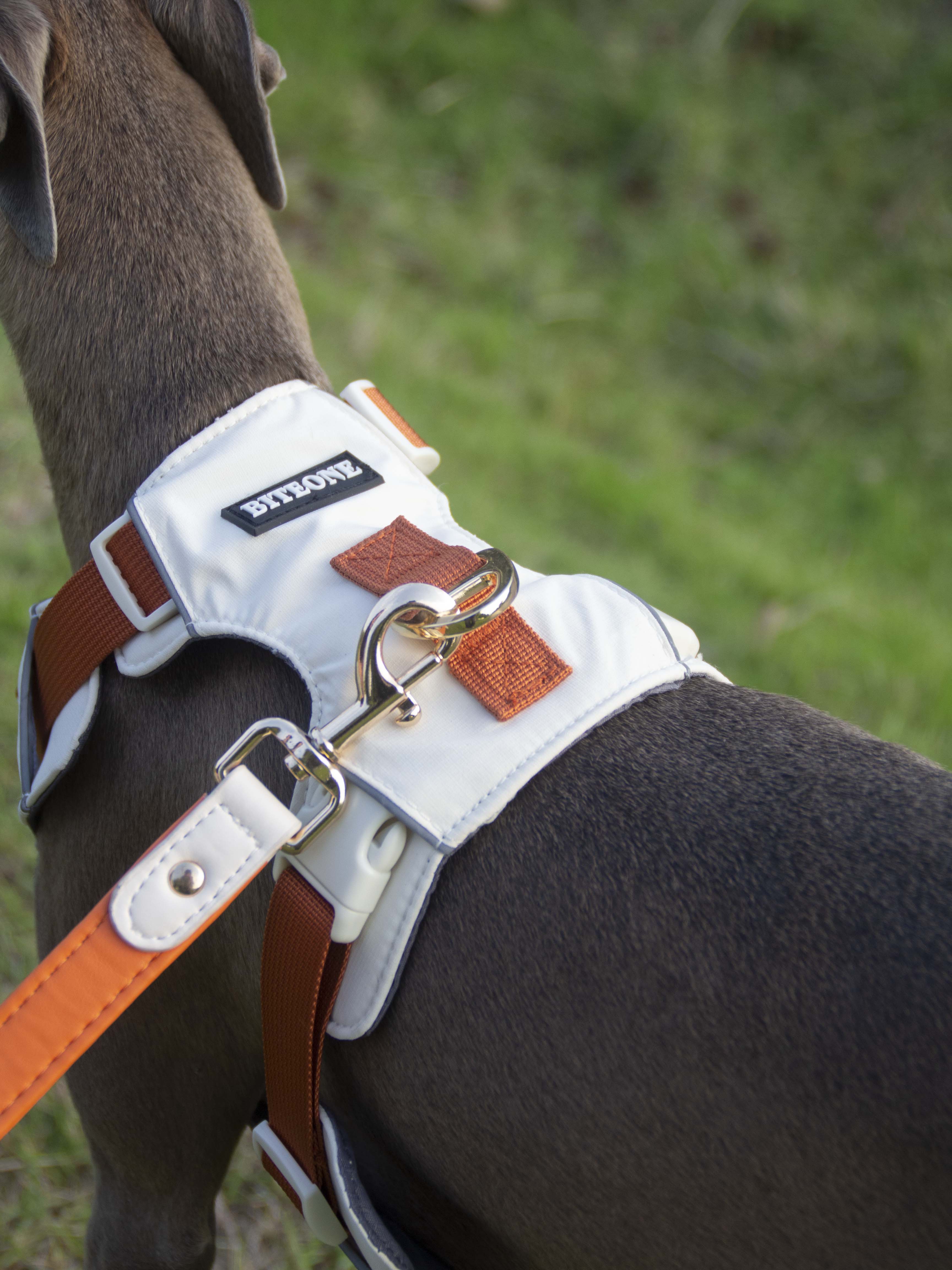 Breathable No-Pull Adjustable Dog Harness with Durable Buckles and Safety Straps LARGE