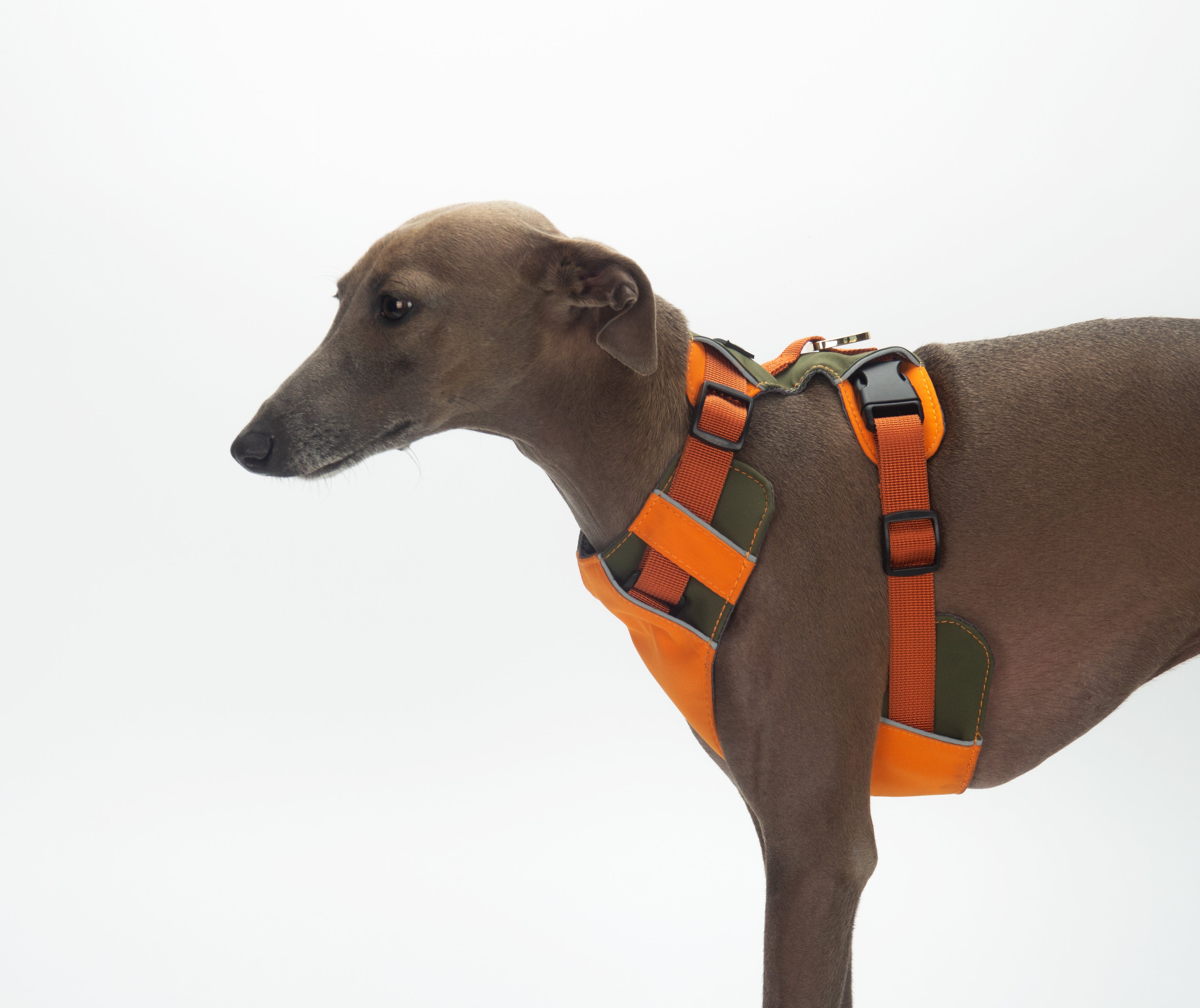 Breathable No-Pull Adjustable Dog Harness with Durable Buckles and Safety Straps LARGE