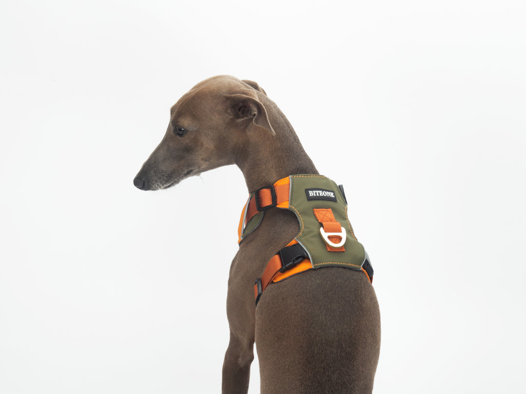 Breathable No-Pull Adjustable Dog Harness with Durable Buckles and Safety Straps SMALL