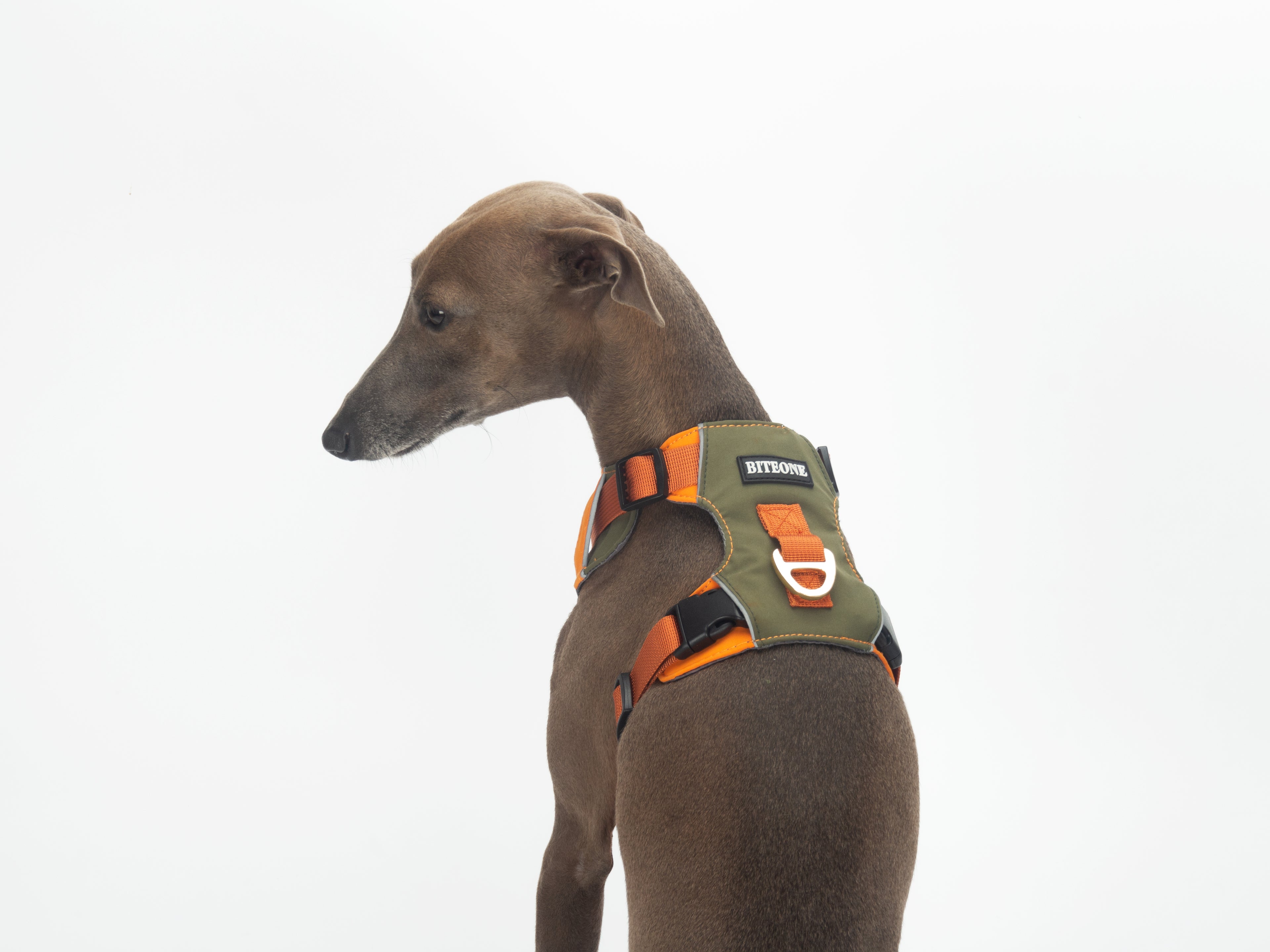 Breathable No-Pull Adjustable Dog Harness with Durable Buckles and Safety Straps LARGE