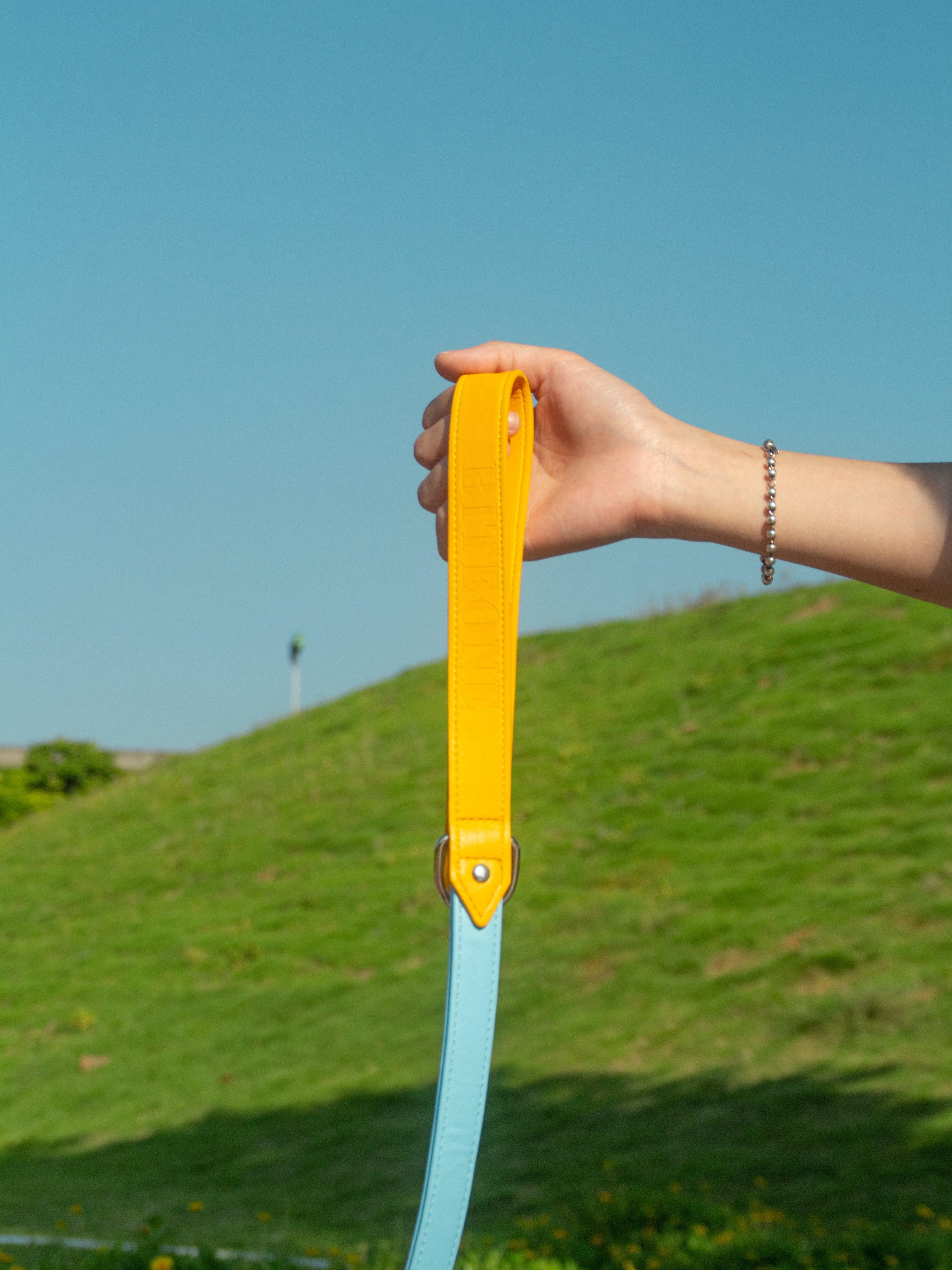 All-Weather Dog Leash with Soft Padded Handle for Small, Medium, and Large Dogs