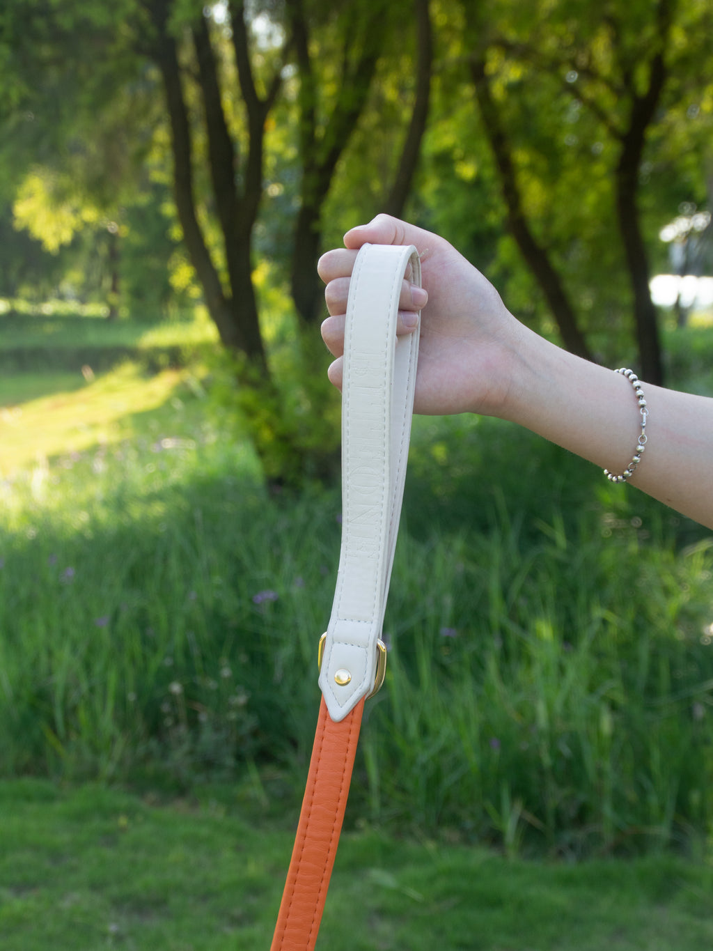 All-Weather Dog Leash with Soft Padded Handle for Small, Medium, and Large Dogs