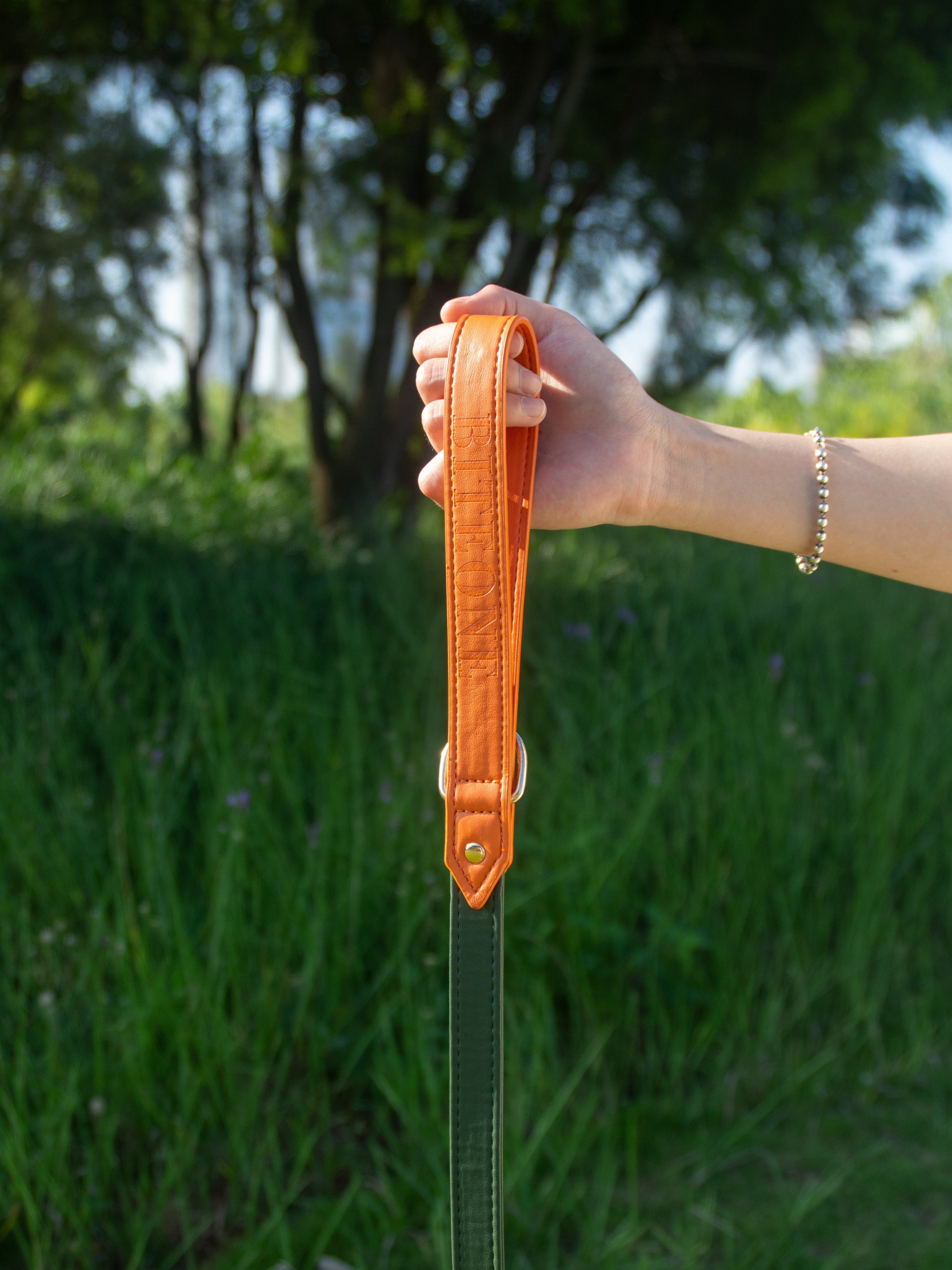 All-Weather Dog Leash with Soft Padded Handle for Small, Medium, and Large Dogs