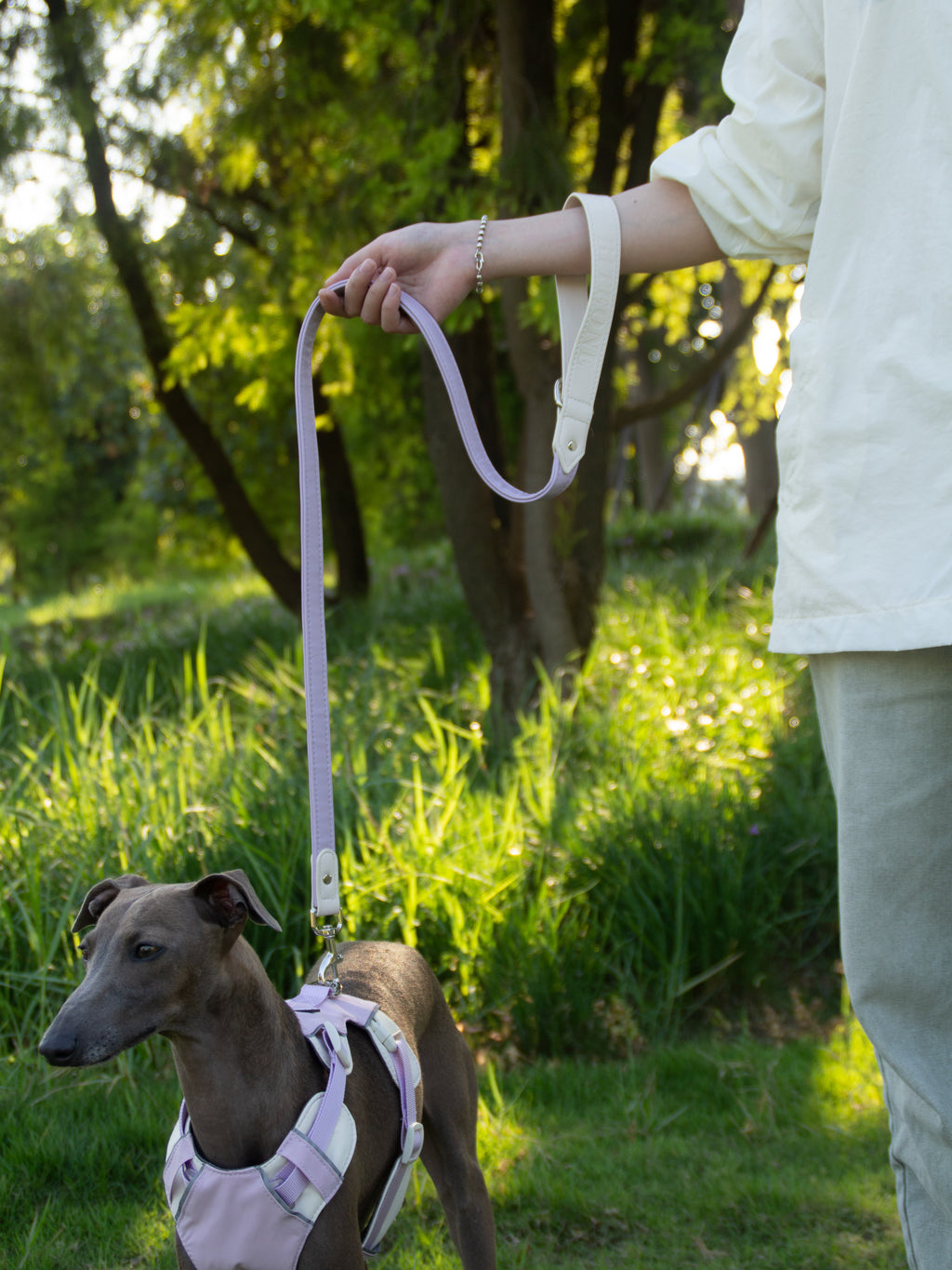 All-Weather Dog Leash with Soft Padded Handle for Small, Medium, and Large Dogs