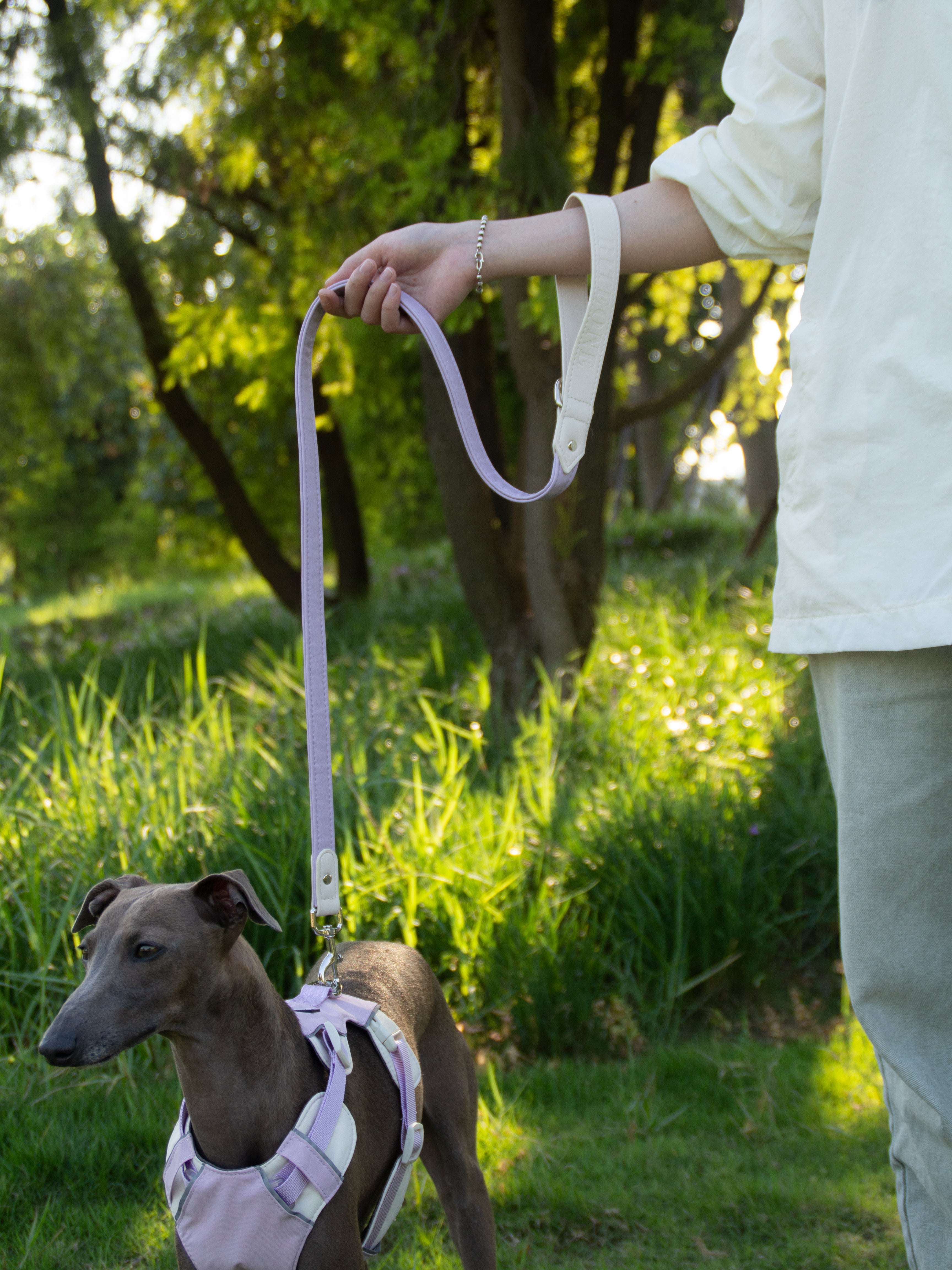 All-Weather Dog Leash with Soft Padded Handle for Small, Medium, and Large Dogs