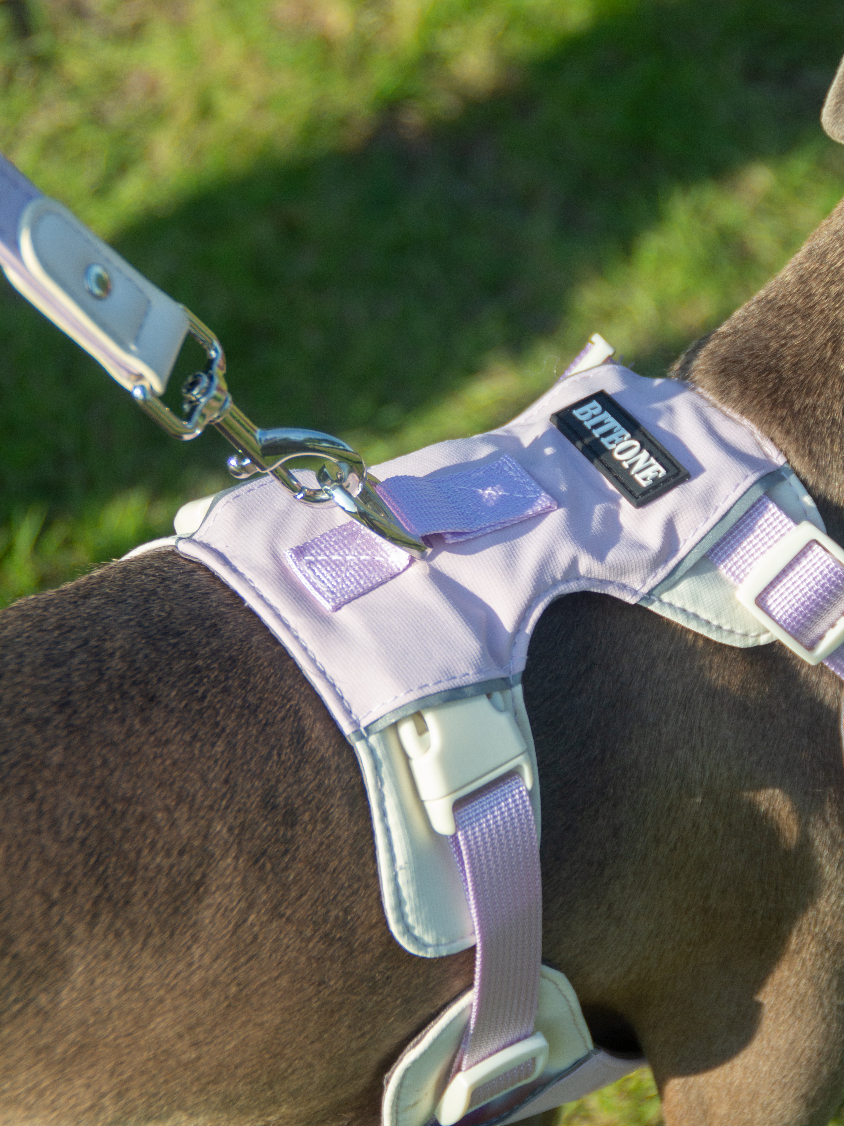 Breathable No-Pull Adjustable Dog Harness with Durable Buckles and Safety Straps MEDIUM
