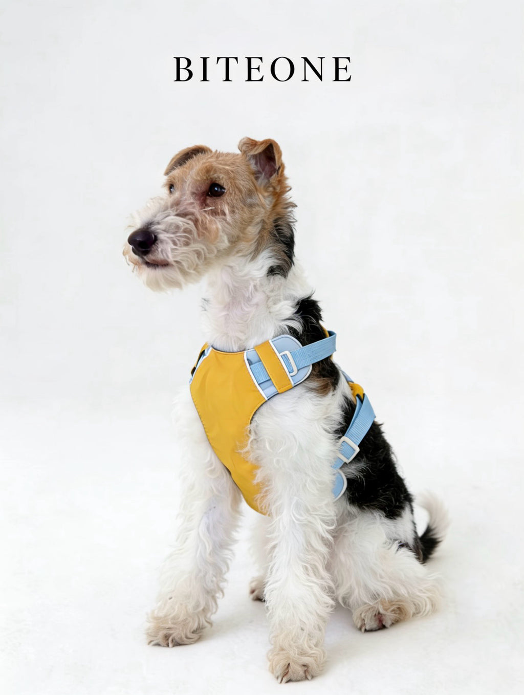 Breathable No-Pull Adjustable Dog Harness with Durable Buckles and Safety Straps MEDIUM