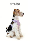 Breathable No-Pull Adjustable Dog Harness with Durable Buckles and Safety Straps SMALL