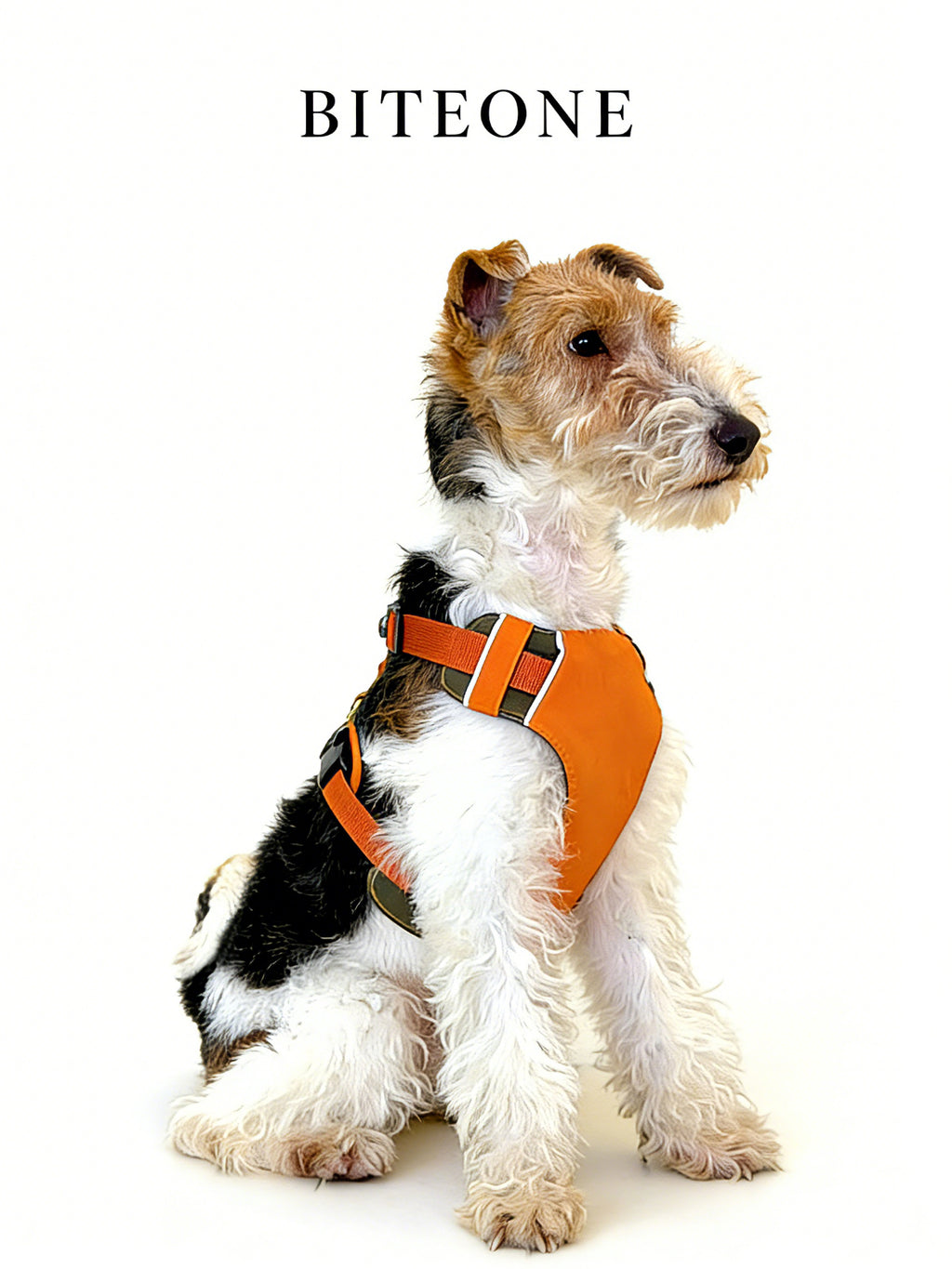 Breathable No-Pull Adjustable Dog Harness with Durable Buckles and Safety Straps SMALL