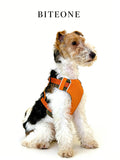 Breathable No-Pull Adjustable Dog Harness with Durable Buckles and Safety Straps SMALL