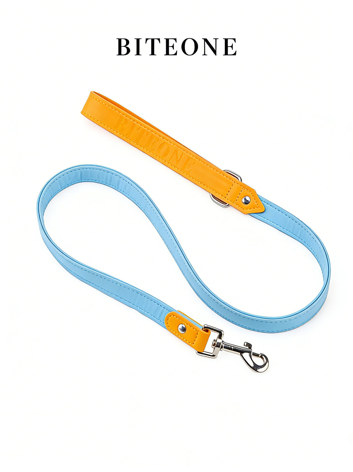 All-Weather Dog Leash with Soft Padded Handle for Small, Medium, and Large Dogs