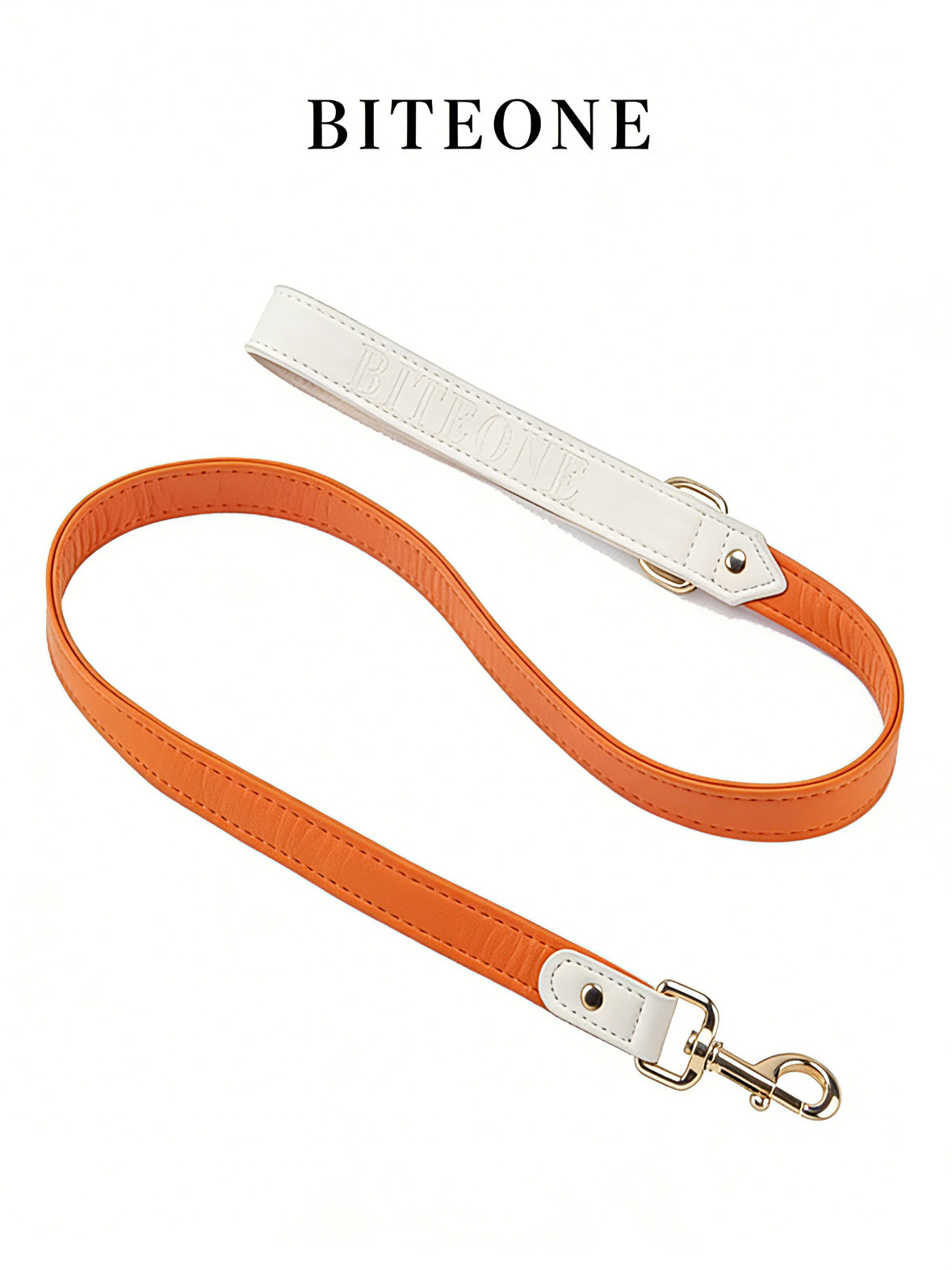 All-Weather Dog Leash with Soft Padded Handle for Small, Medium, and Large Dogs