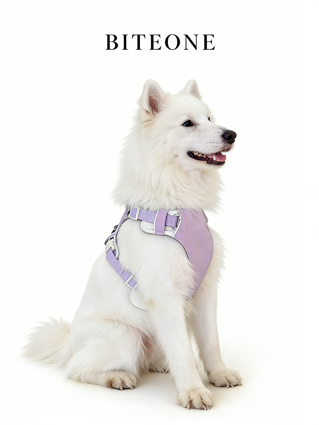Breathable No-Pull Adjustable Dog Harness with Durable Buckles and Safety Straps LARGE
