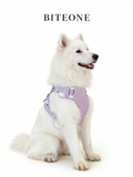 Breathable No-Pull Adjustable Dog Harness with Durable Buckles and Safety Straps LARGE