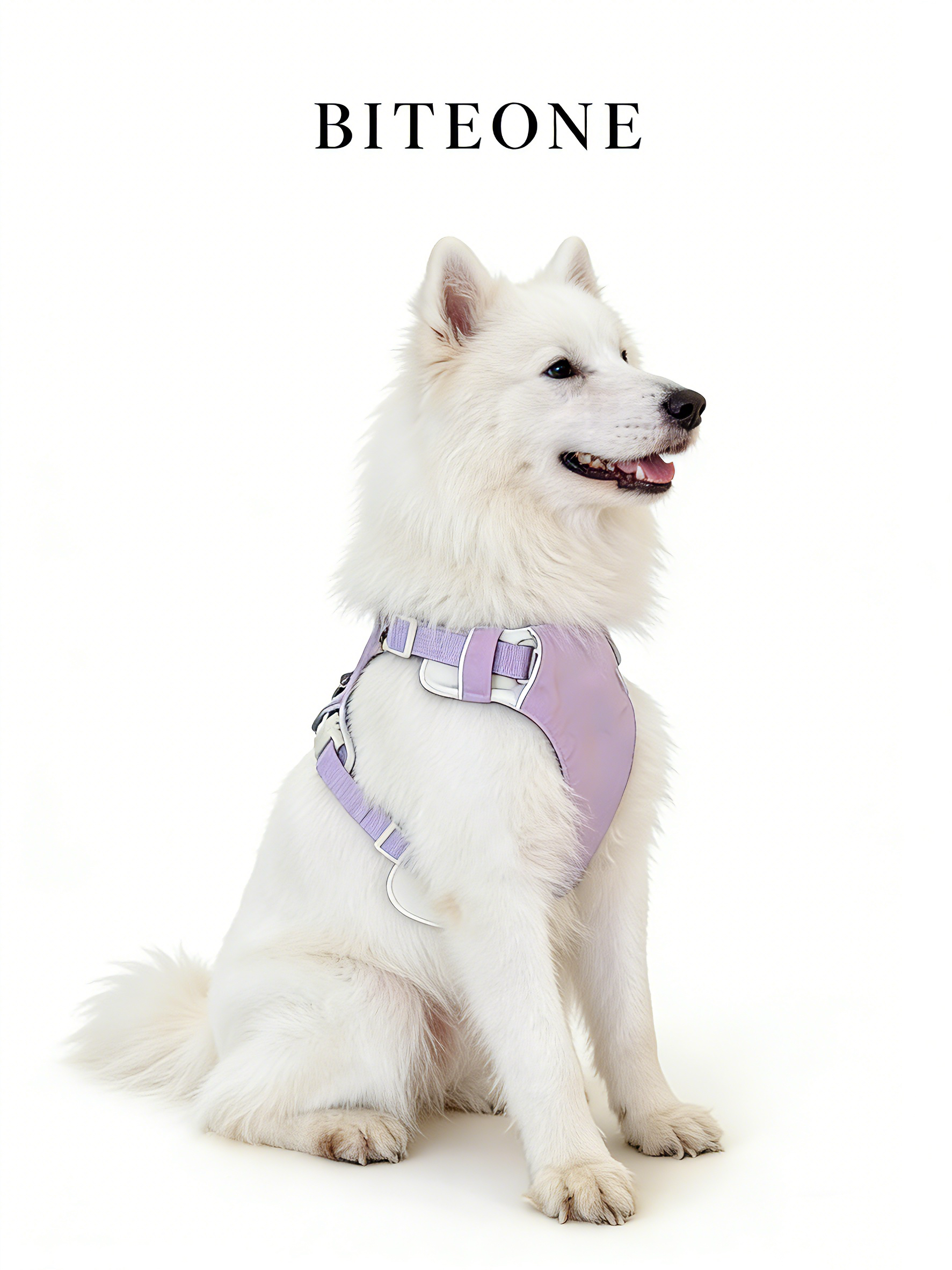 Breathable No-Pull Adjustable Dog Harness with Durable Buckles and Safety Straps LARGE