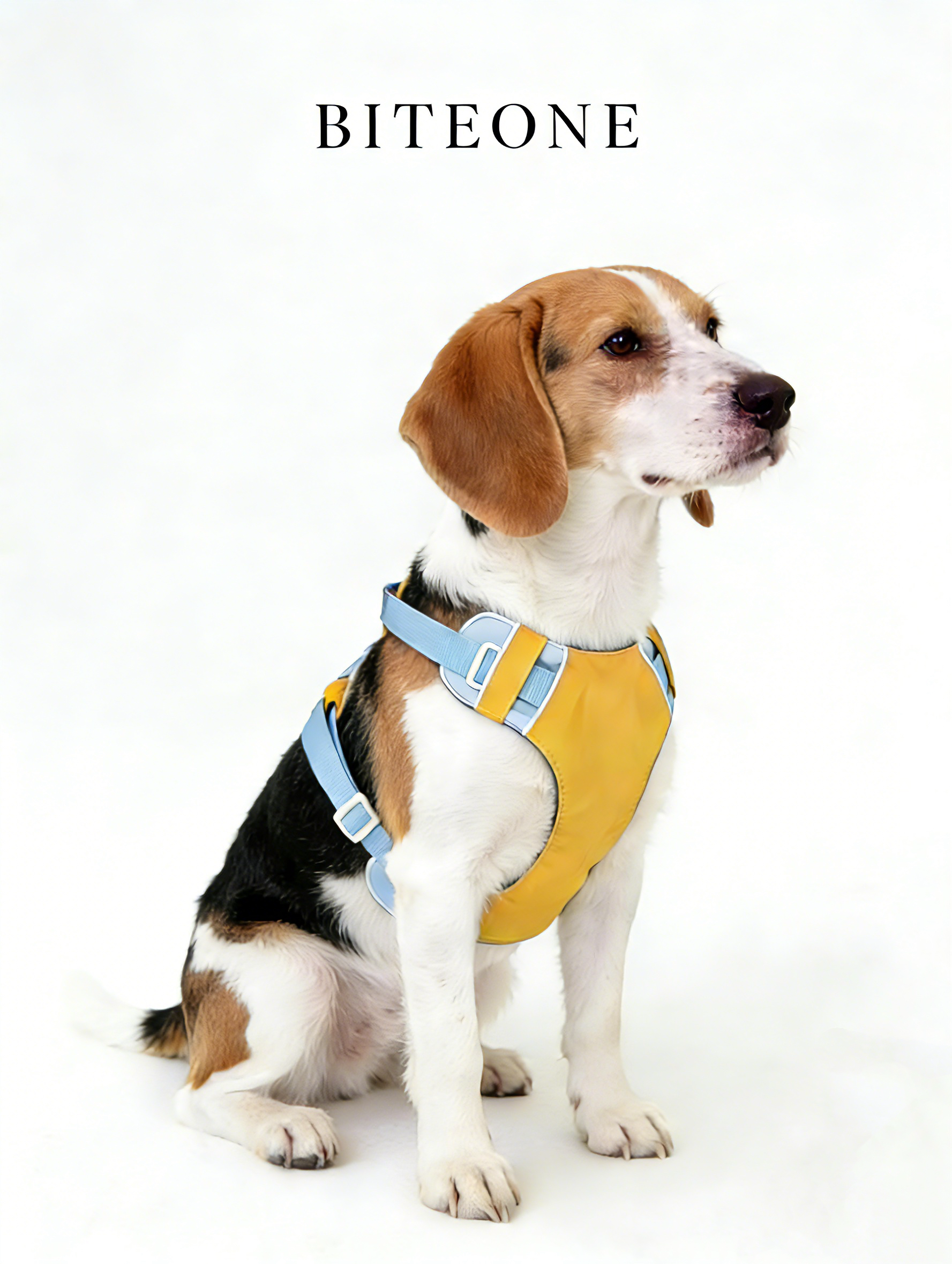 Breathable No-Pull Adjustable Dog Harness with Durable Buckles and Safety Straps MEDIUM