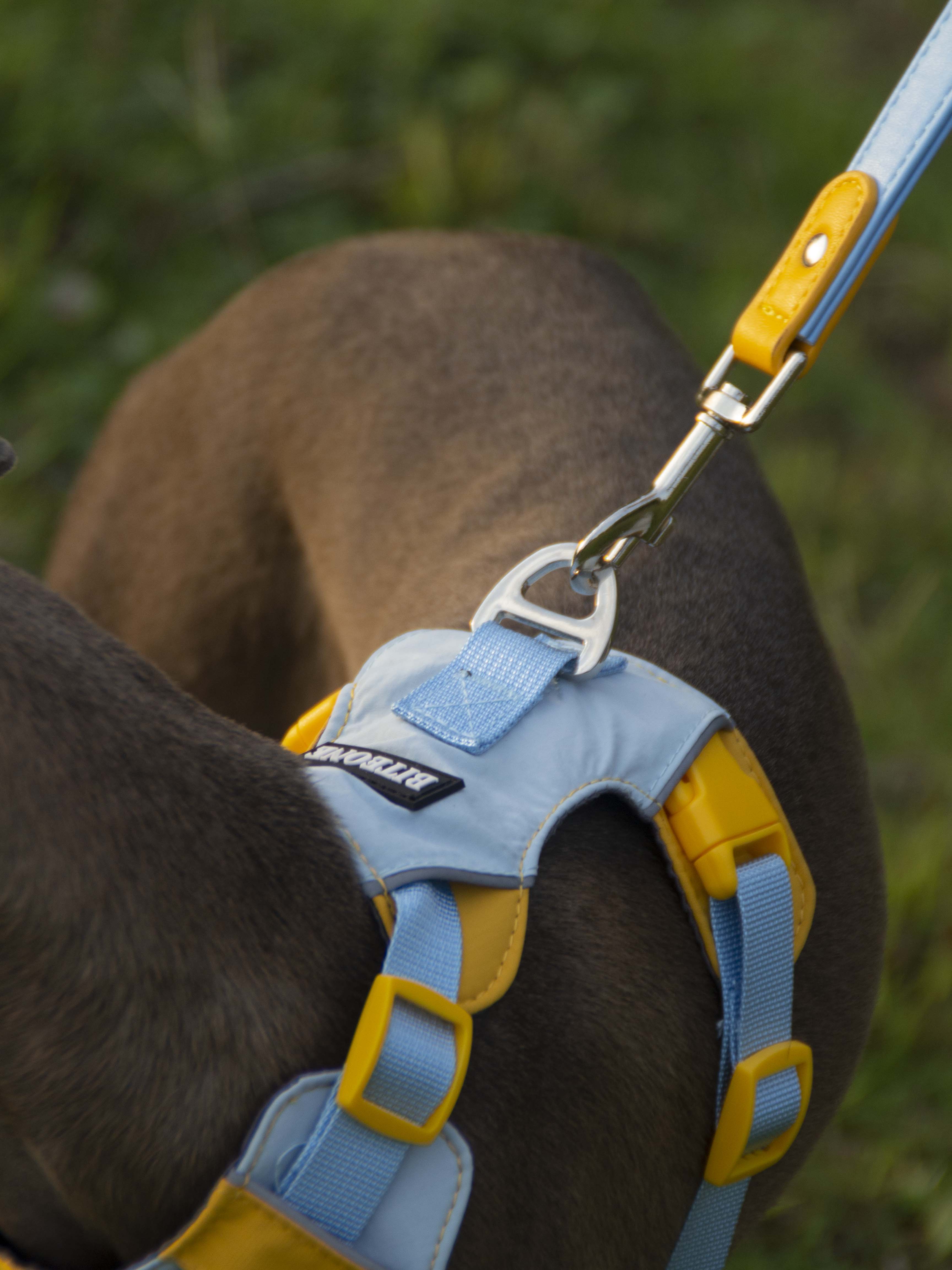 Breathable No-Pull Adjustable Dog Harness with Durable Buckles and Safety Straps MEDIUM
