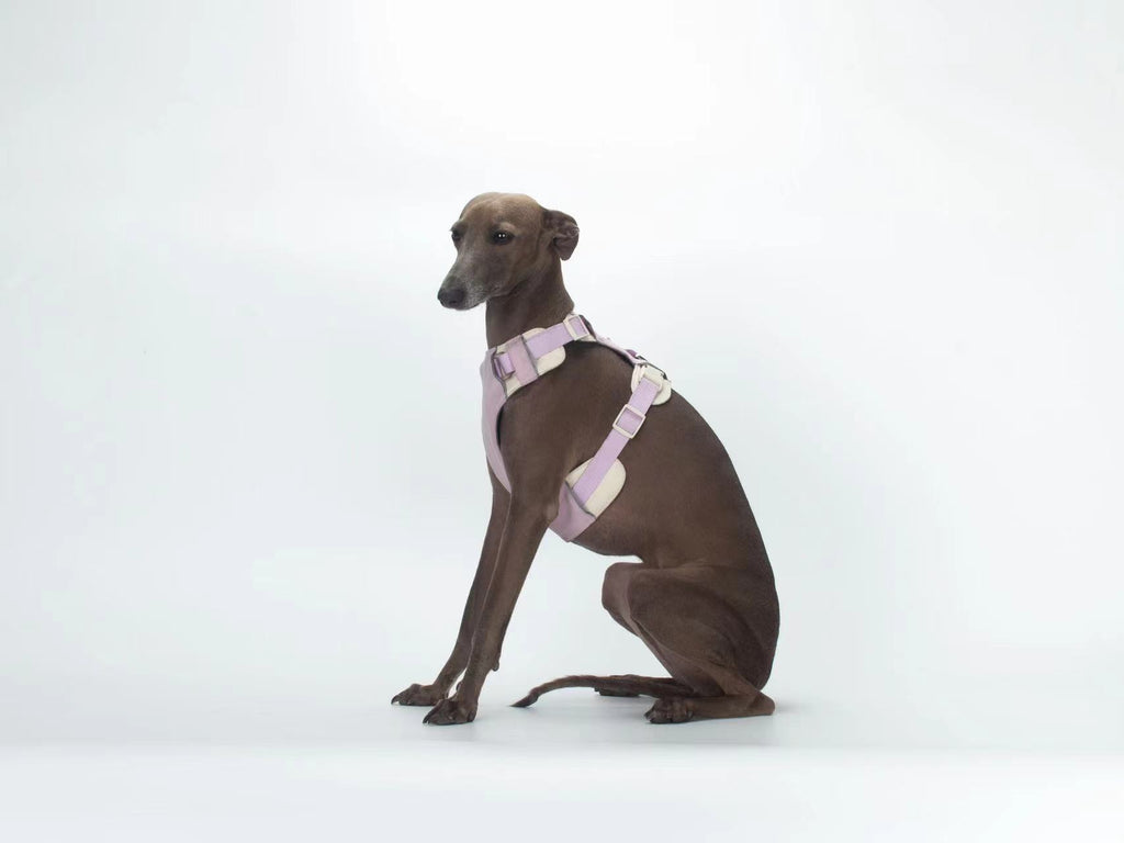 Breathable No-Pull Adjustable Dog Harness with Durable Buckles and Safety Straps MEDIUM