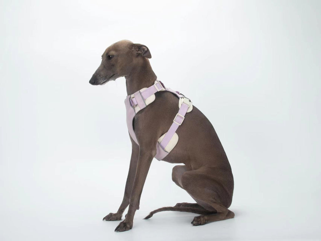 Breathable No-Pull Adjustable Dog Harness with Durable Buckles and Safety Straps MEDIUM