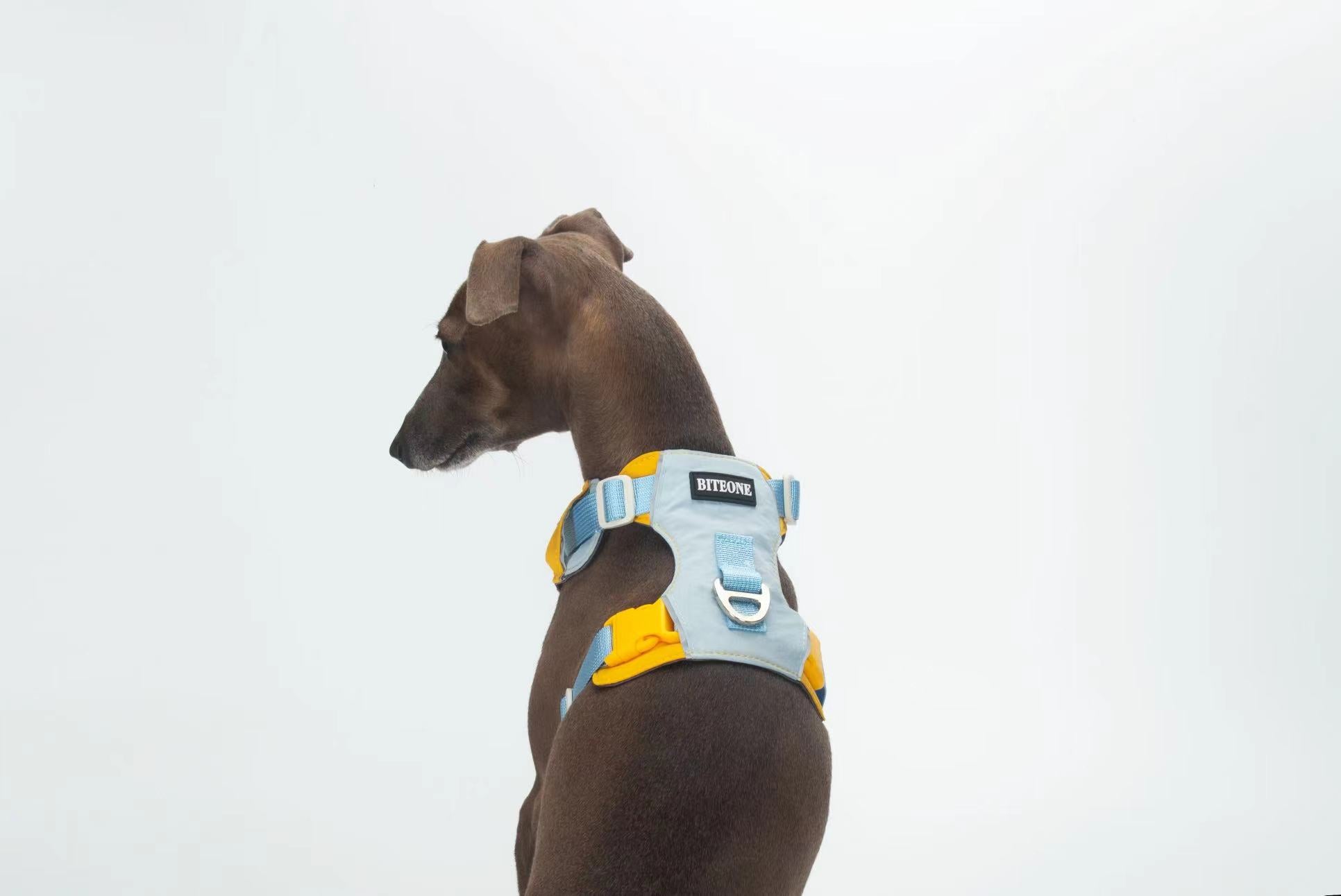 Breathable No-Pull Adjustable Dog Harness with Durable Buckles and Safety Straps LARGE