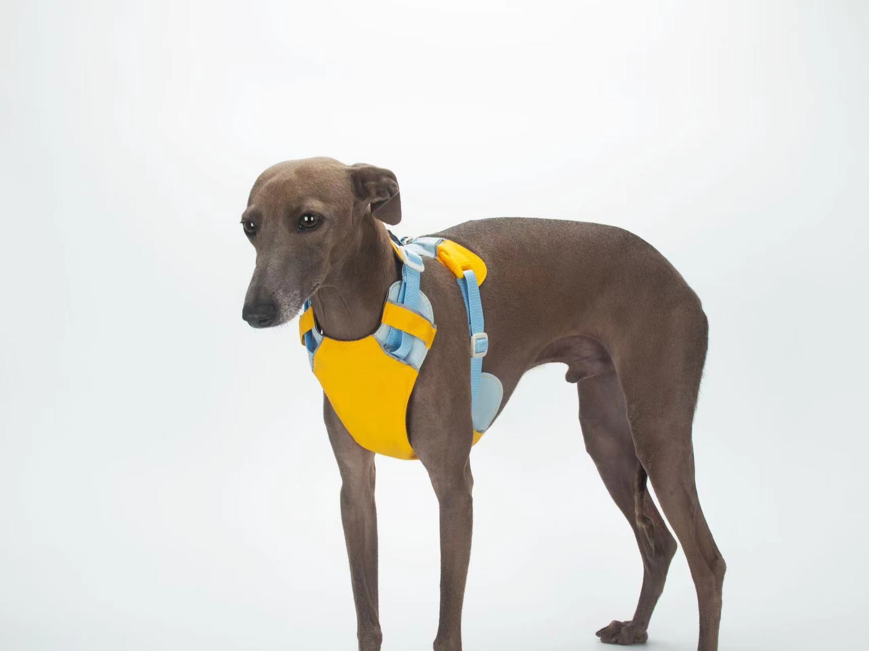 Breathable No-Pull Adjustable Dog Harness with Durable Buckles and Safety Straps LARGE