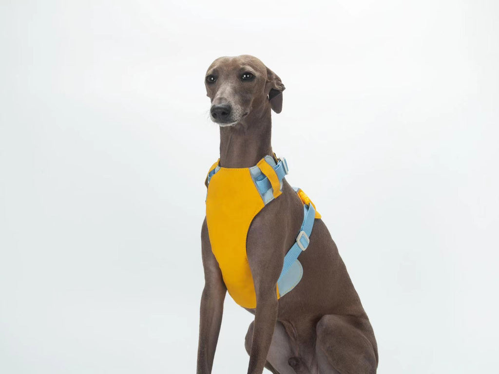 Breathable No-Pull Adjustable Dog Harness with Durable Buckles and Safety Straps MEDIUM