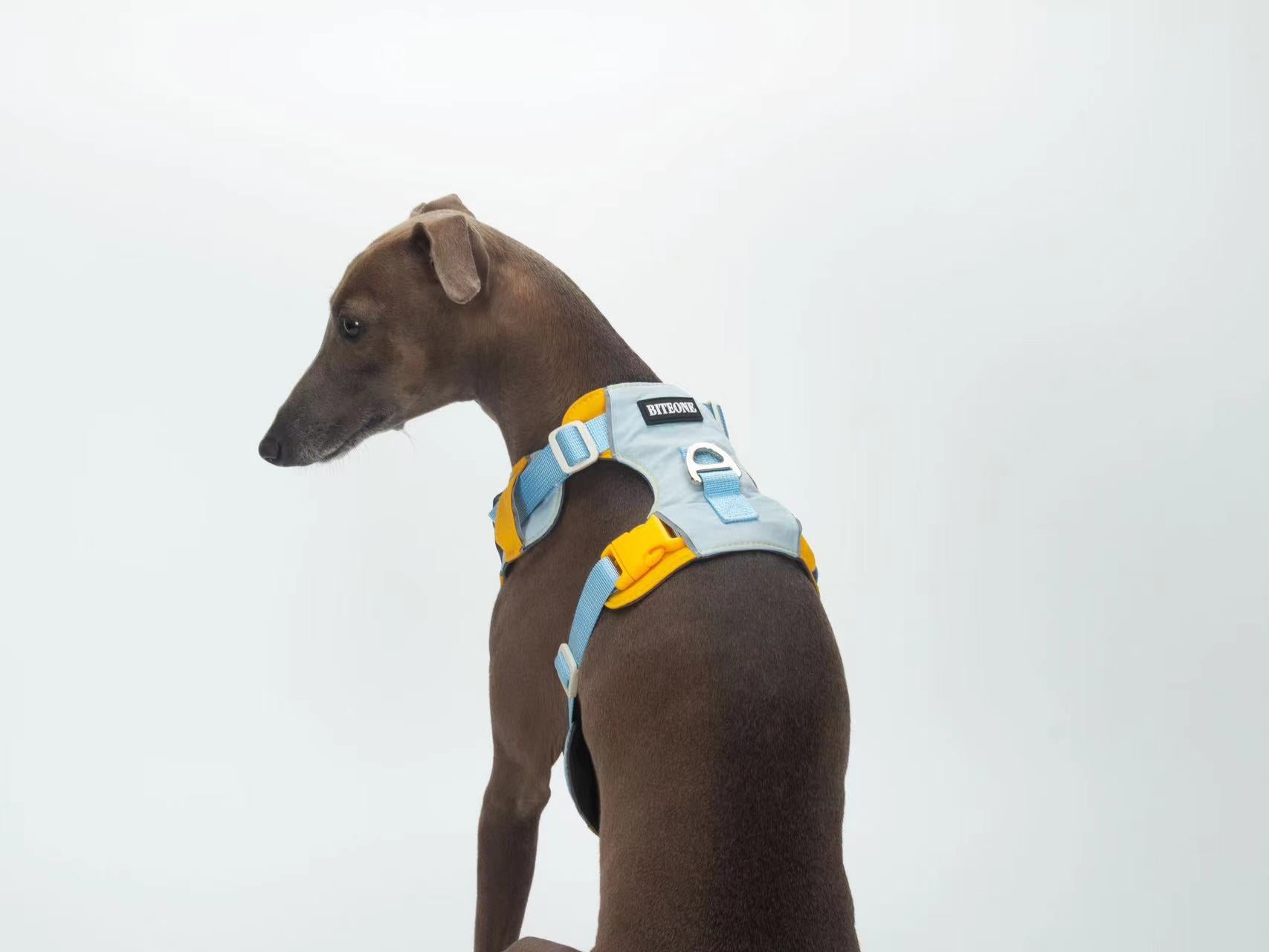 Breathable No-Pull Adjustable Dog Harness with Durable Buckles and Safety Straps LARGE