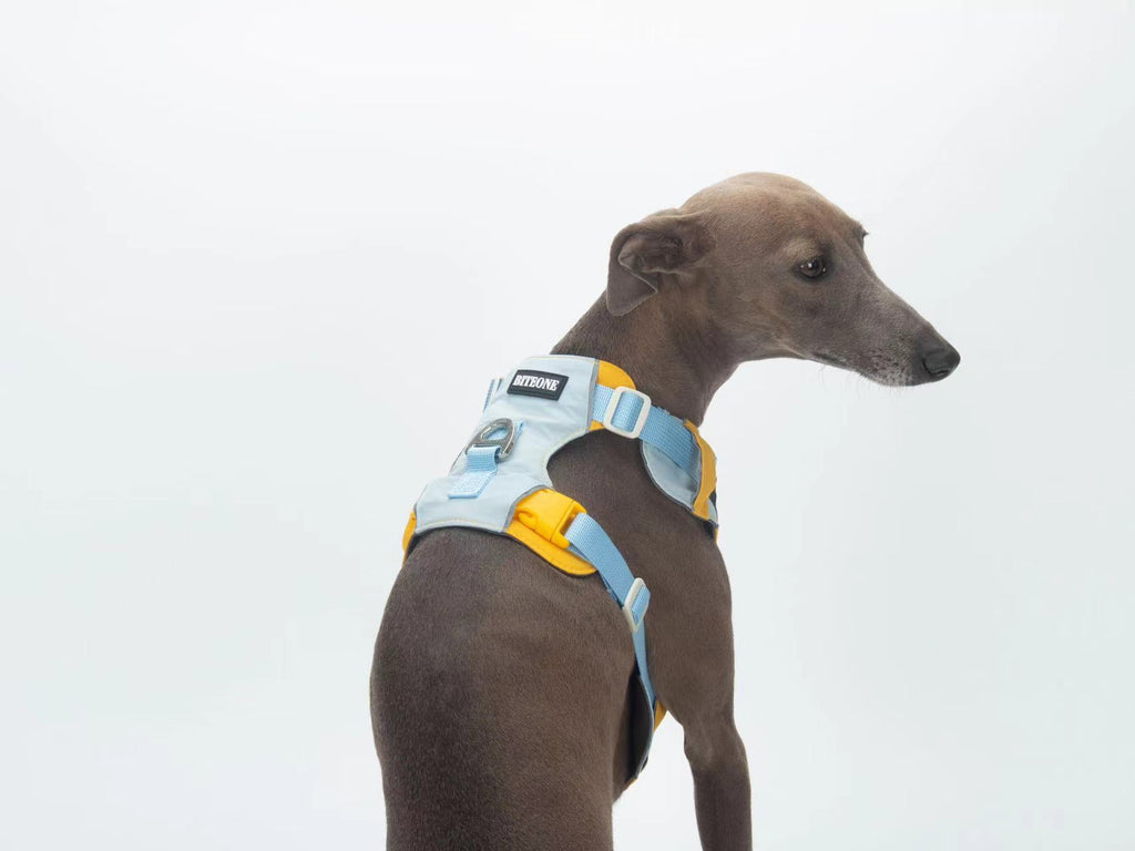 Breathable No-Pull Adjustable Dog Harness with Durable Buckles and Safety Straps MEDIUM