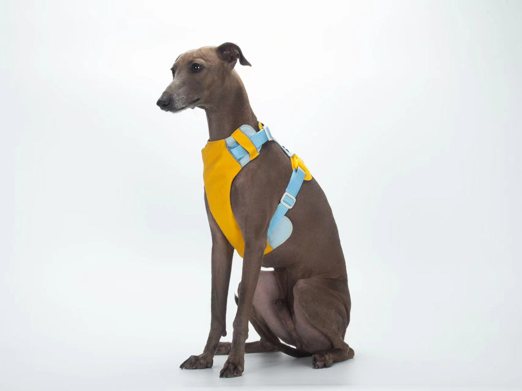 Breathable No-Pull Adjustable Dog Harness with Durable Buckles and Safety Straps MEDIUM