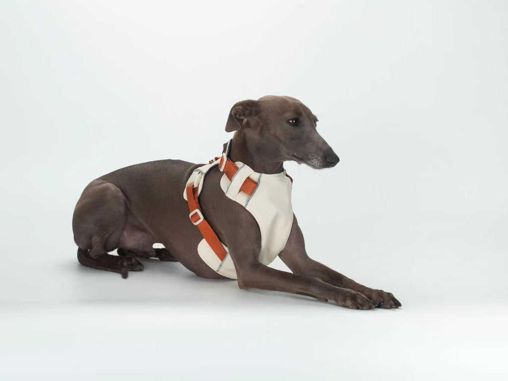 Breathable No-Pull Adjustable Dog Harness with Durable Buckles and Safety Straps LARGE