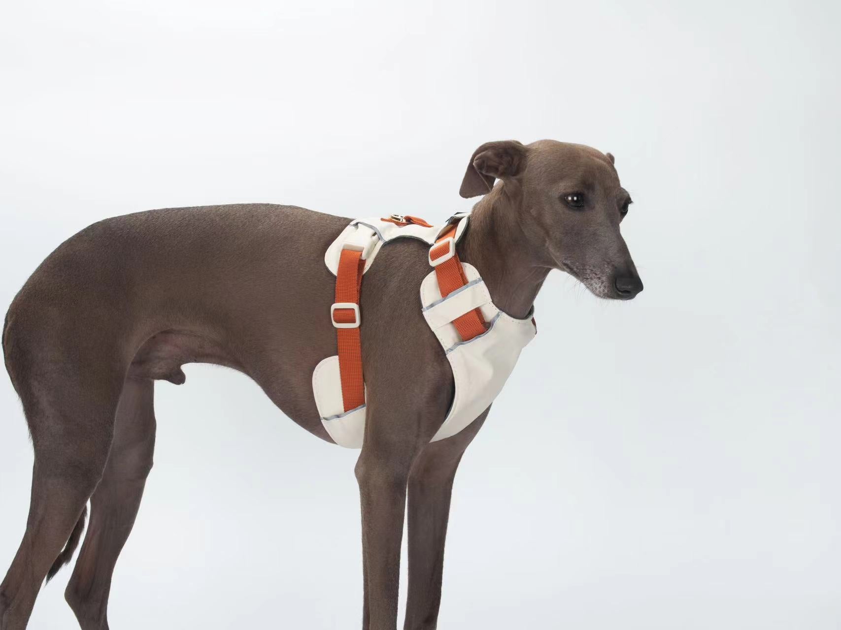 Breathable No-Pull Adjustable Dog Harness with Durable Buckles and Safety Straps SMALL