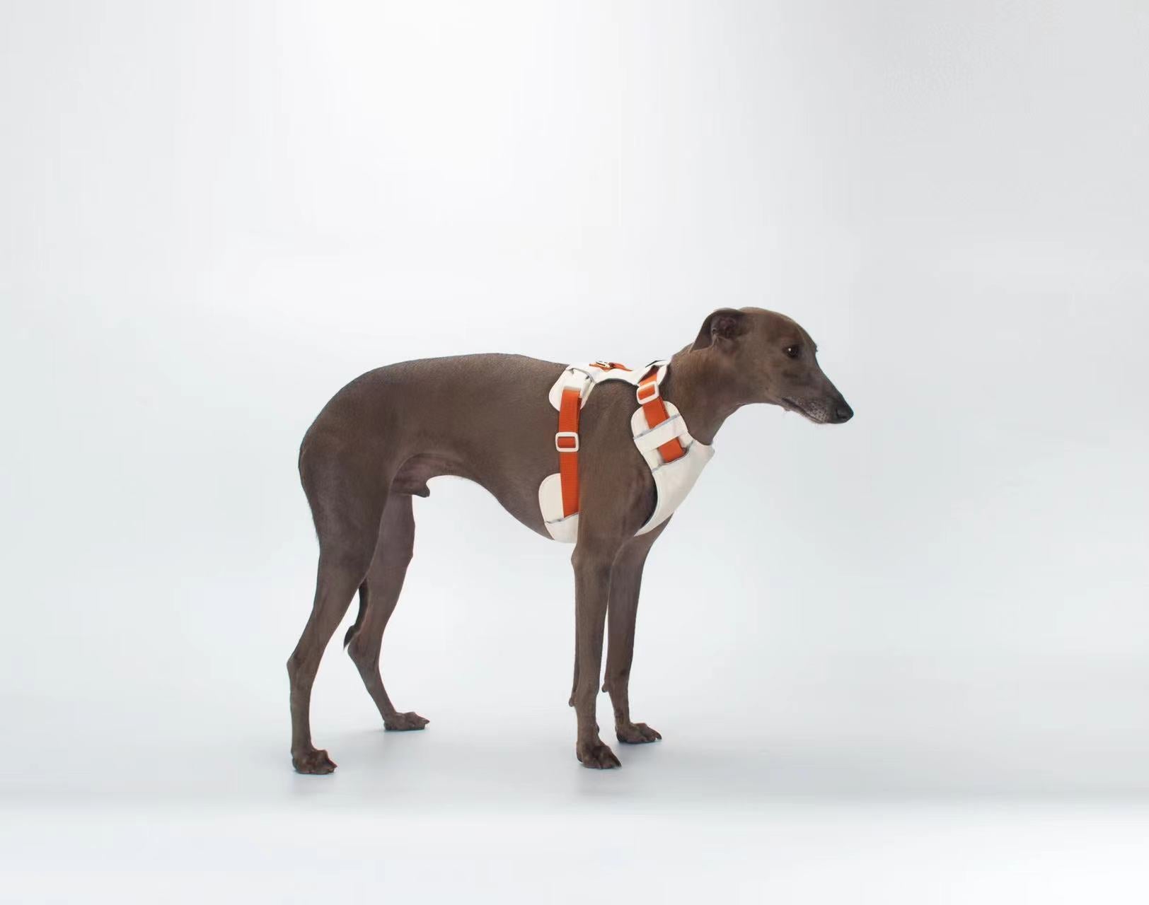 Breathable No-Pull Adjustable Dog Harness with Durable Buckles and Safety Straps LARGE