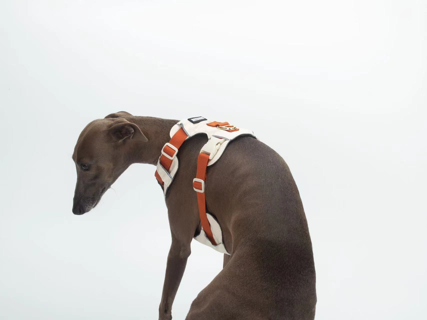 Breathable No-Pull Adjustable Dog Harness with Durable Buckles and Safety Straps LARGE