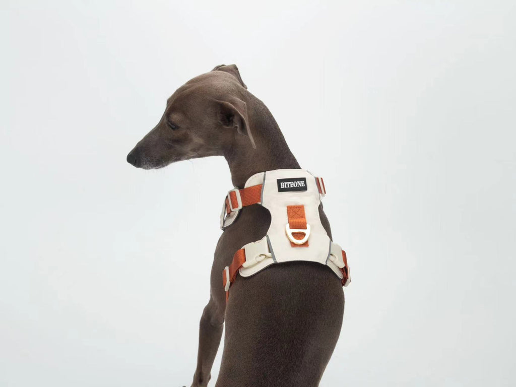 Breathable No-Pull Adjustable Dog Harness with Durable Buckles and Safety Straps LARGE