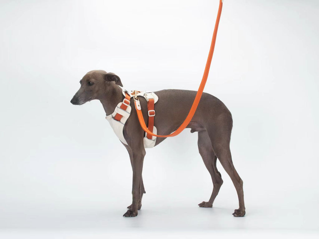 Breathable No-Pull Adjustable Dog Harness with Durable Buckles and Safety Straps LARGE