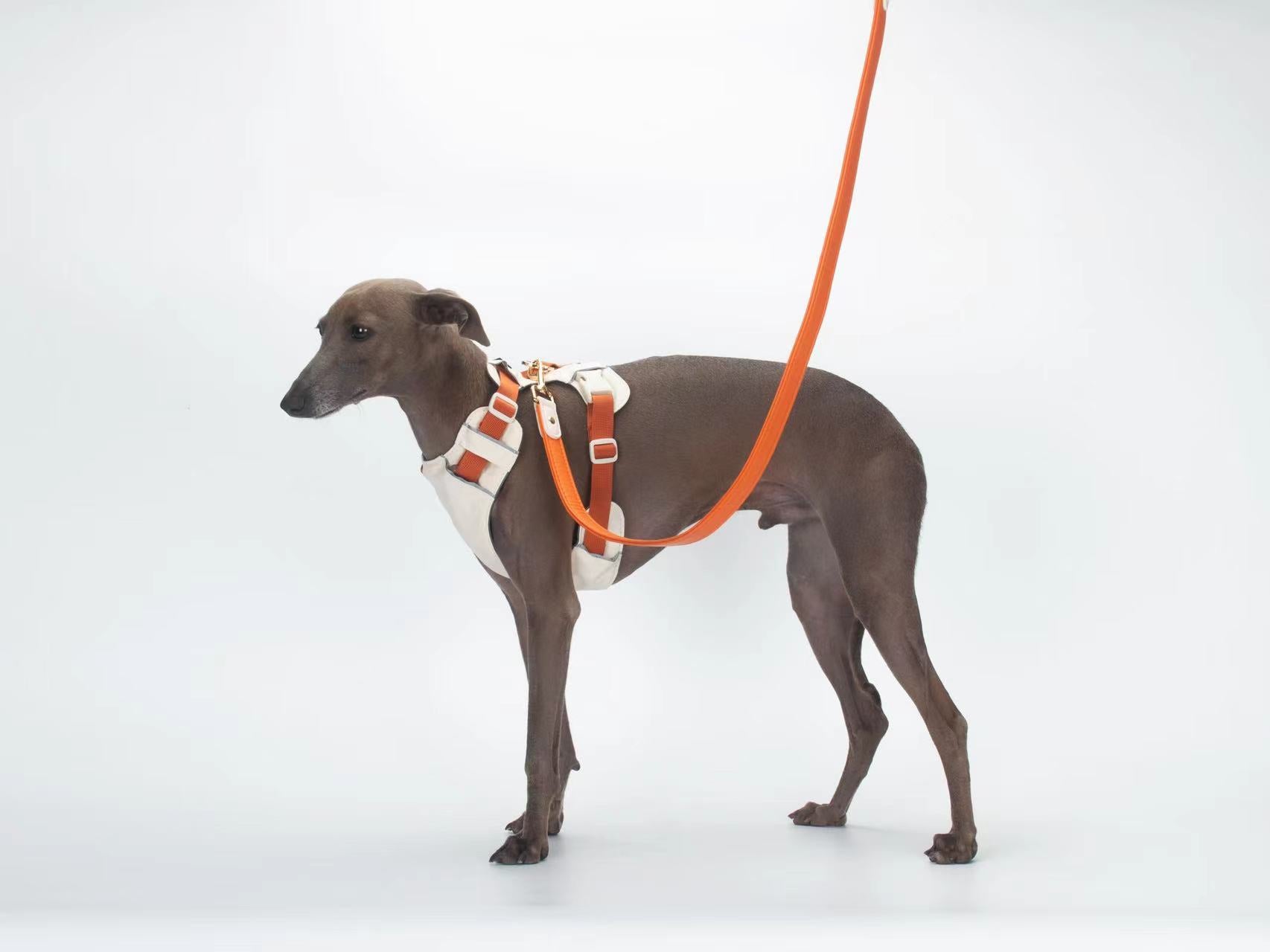 Breathable No-Pull Adjustable Dog Harness with Durable Buckles and Safety Straps SMALL