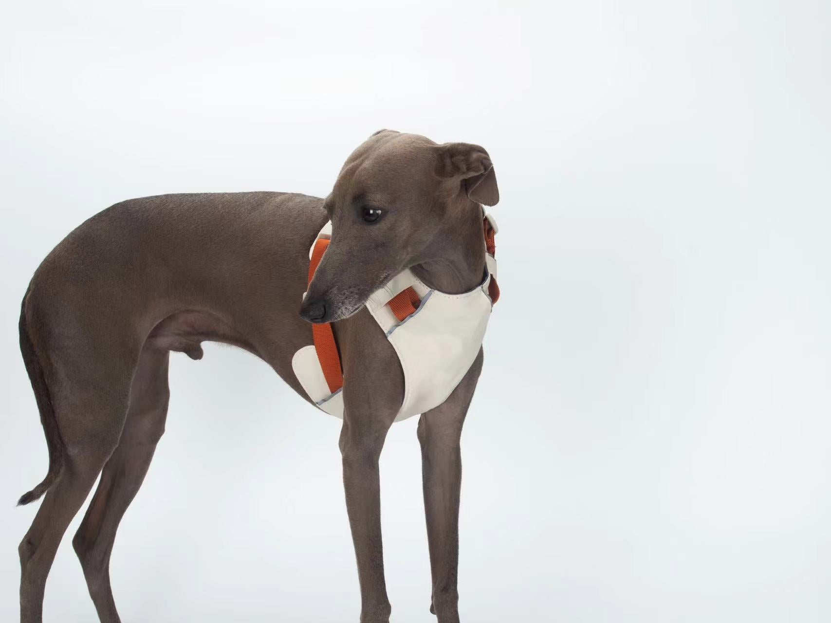 Breathable No-Pull Adjustable Dog Harness with Durable Buckles and Safety Straps LARGE